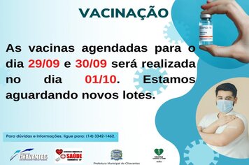 Vacinação